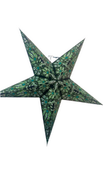 Ladda upp bild till gallerivisning, 10. Julstjärna 5 spetsar